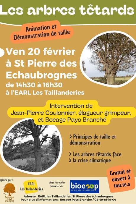 Animation et démonstration de taille - Les arbres têtards