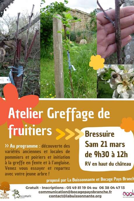 Sortie nature - Atelier greffage d'arbres fruitiers
