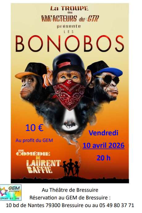 Théâtre - Les Bonobos