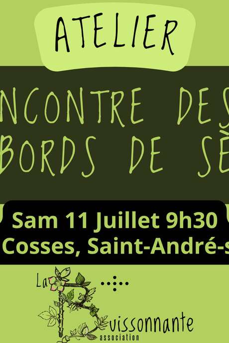 Sortie nature - Découvrez les saules des bords de Sèvre
