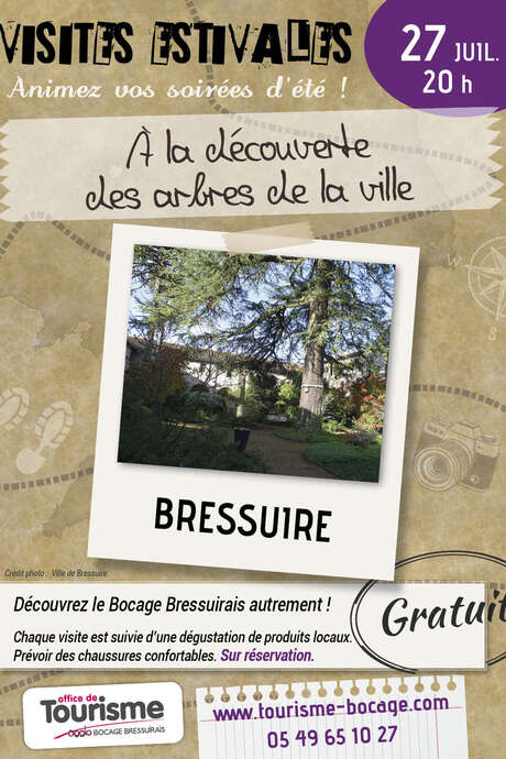 Visites Estivales 2021 - A la découverte des arbres de la ville Visites Estivales 2021 - A la découverte des arbres de la ville