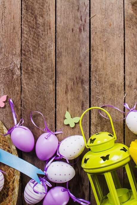 Bibliothèque de Belvès : Chasse aux trésors