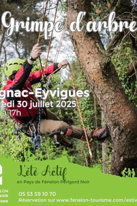 ÉTÉ ACTIF : Grimpe d'arbre à Salignac