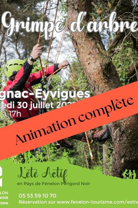 ÉTÉ ACTIF : Grimpe d'arbre à Salignac