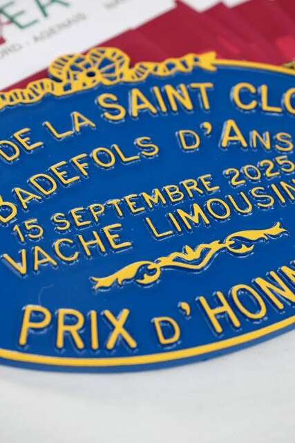 Fête de la Saint Cloud