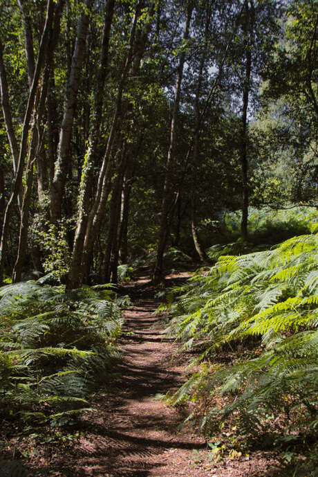 Découverte tourbières des Froux