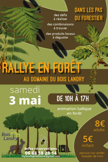 Rallye en forêt