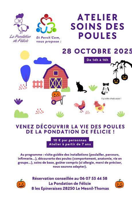 Atelier soins des poules