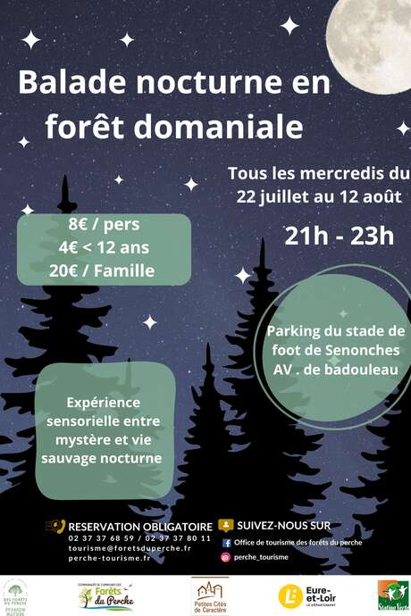 Balade nocturne en forêt domaniale de Senonches