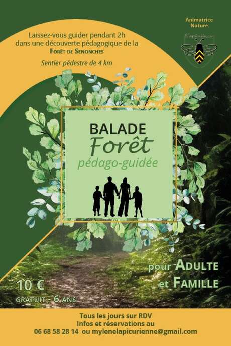 Balade en forêt pédago-guidée
