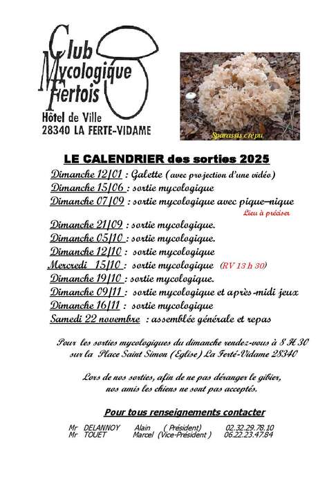 Sorties mycologiques