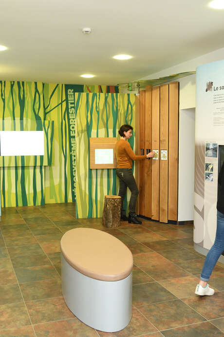 Visite libre du musée de la forêt