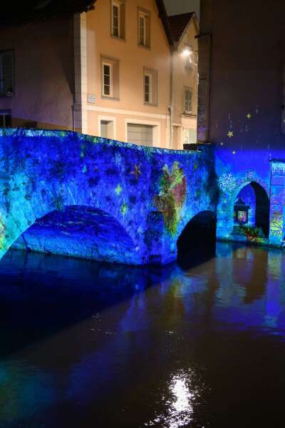 Visite guidée : Chartres en lumières - Fernanda Vieira guide