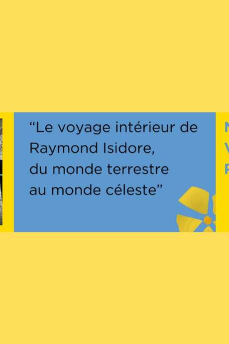 Visites racontées de la Maison Picassiette