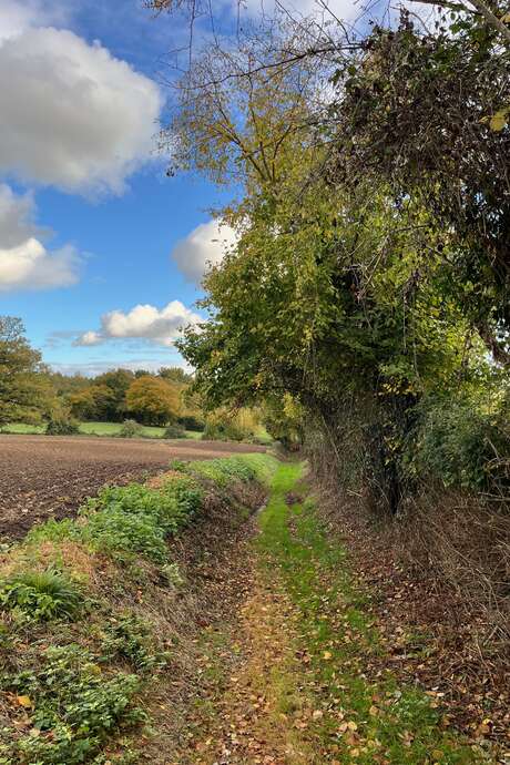 Rando mensuelle des Sentiers du Perche