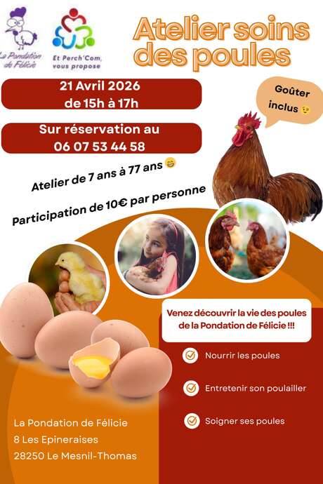 Ateliers soins des poules
