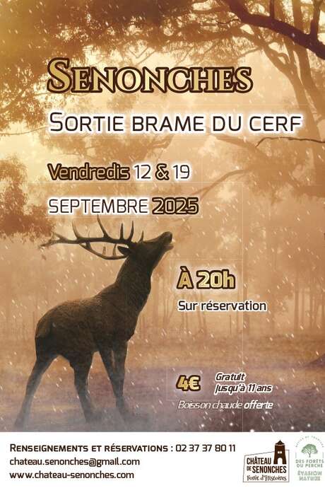 Complet - A l'écoute du brame du cerf