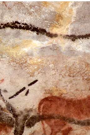 Ateliers archéologie 6/8 ans