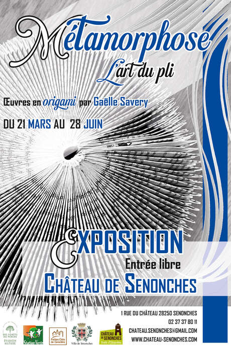 Métamorphose, l'art du pli