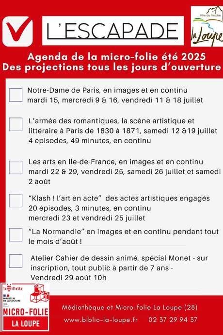 "La Normandie", en images et en continu