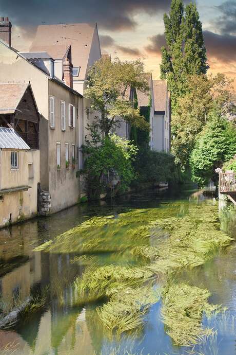 Visite guidée : Chartres au Moyen-Âge par Fernanda Vieira