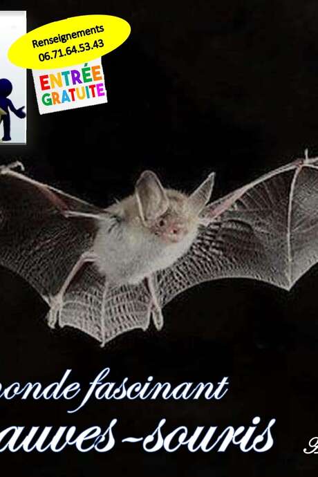 Apéritif-conférence "Le monde fascinant des chauves-souris"