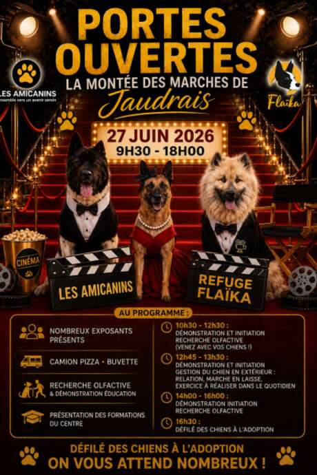 La Montée des marches de Jaudrais