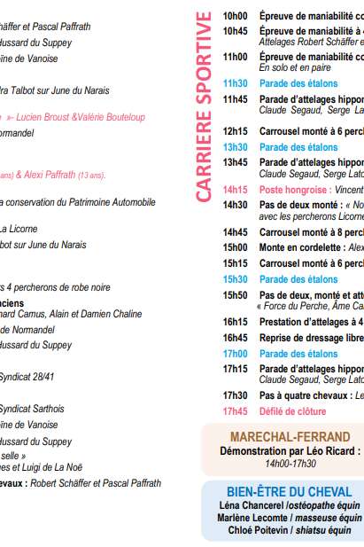 Fête du cheval percheron