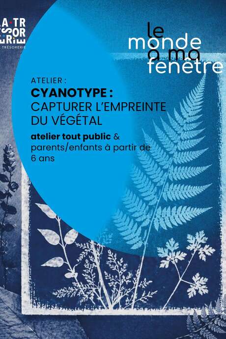Atelier cyanotype : capturer l'empreinte du végétal