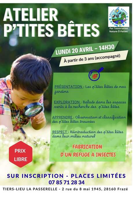 Atelier p'tites bêtes