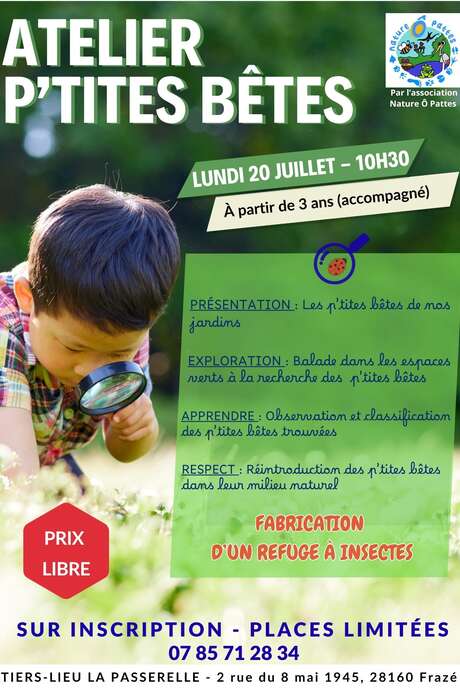 Atelier p'tites bêtes