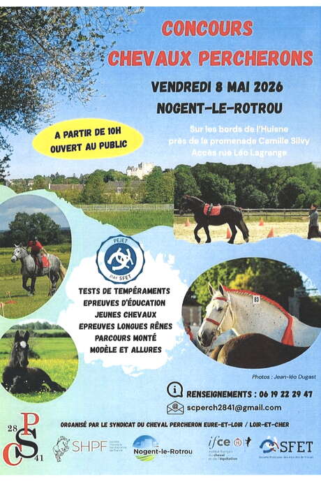 Concours chevaux Percherons