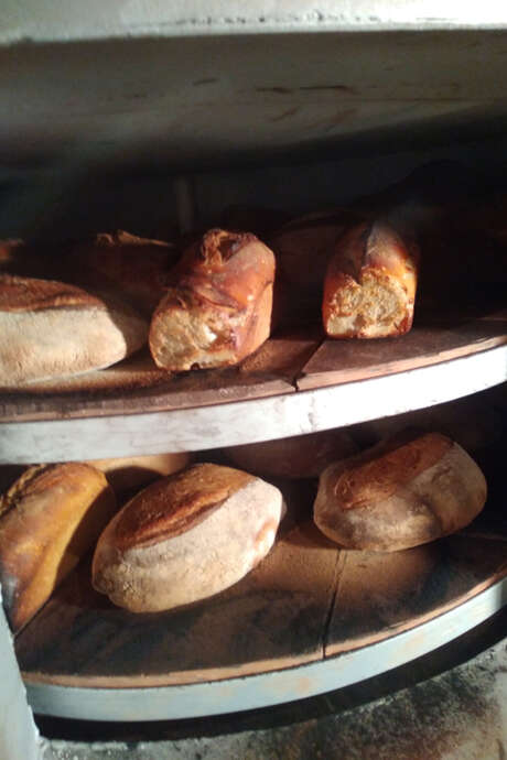 Découverte du pain au levain 