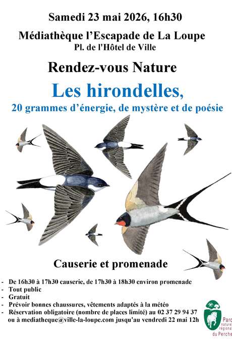 Rendez-vous nature Les Hirondelles