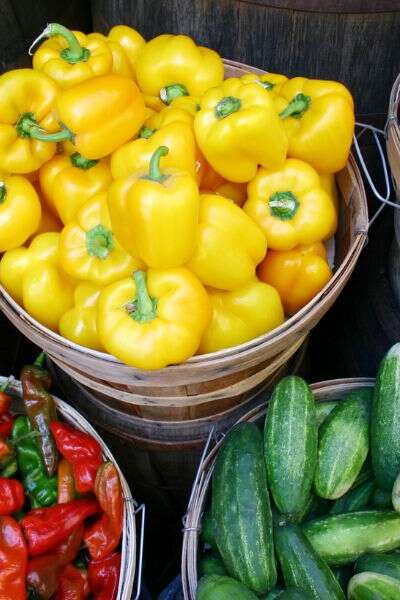 Marché de Senonches