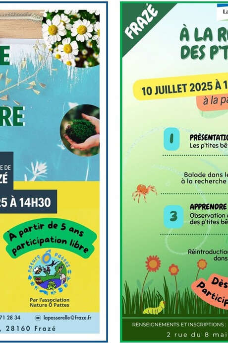 Je compose avec la nature - atelier créatif