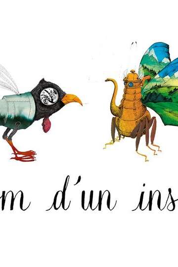 Exposition : Nom d'un insecte