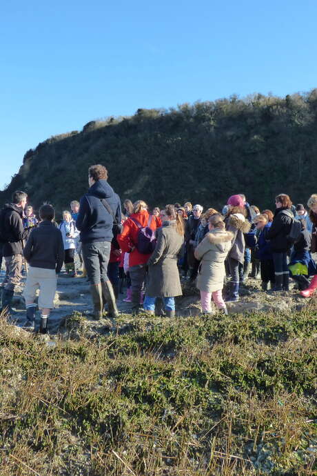 Ces oiseaux venus du nord ...