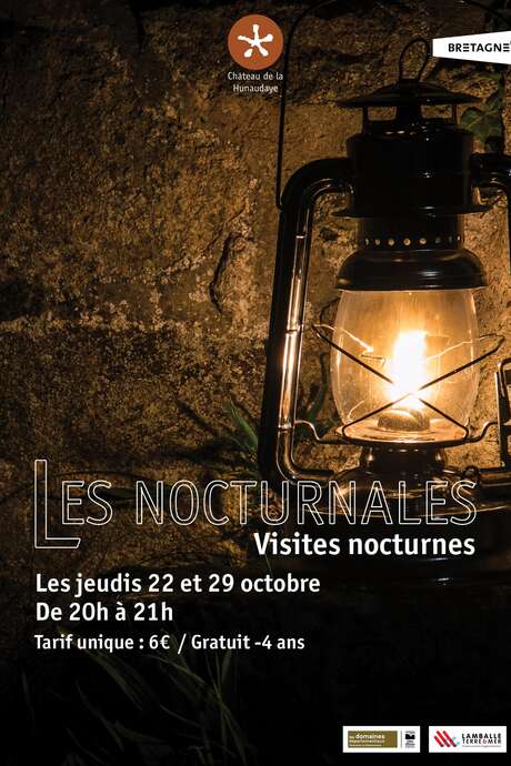 Les Nocturnales (visite guidée nocturne exclusive)