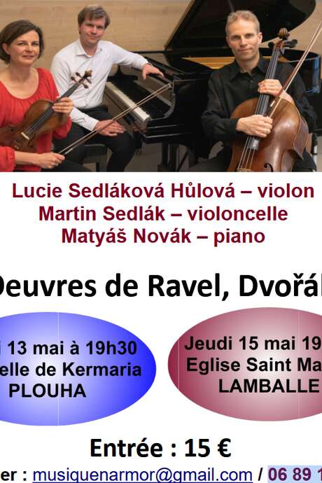 Concert classique : kinsky trio