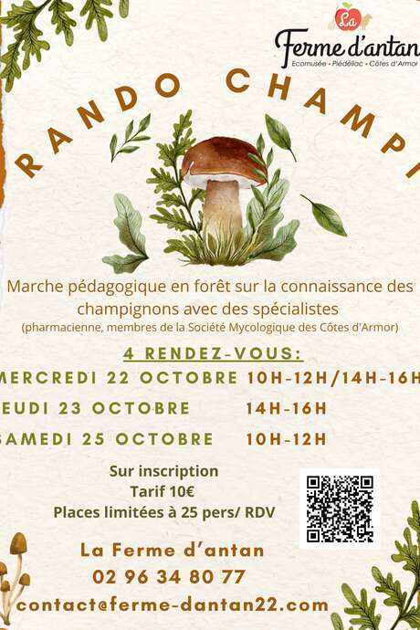 Les "Rando champi"