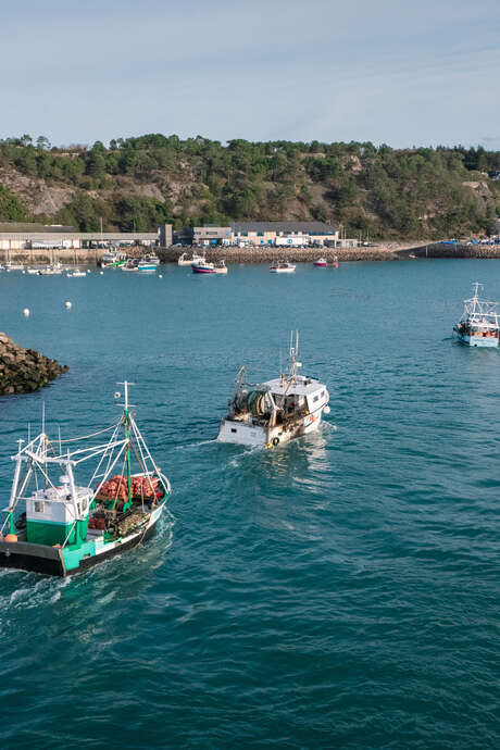 Retour de pêche à la Coquille Saint-Jacques