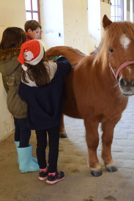 Matinée au Haras Matinée au Haras