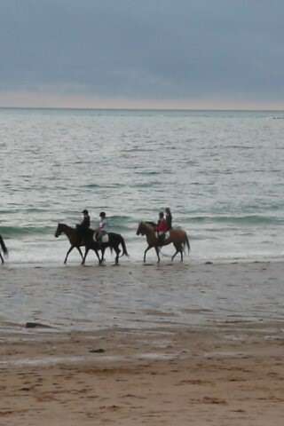 Promenade à cheval entre plage et campagne