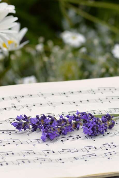 R’Classique aux jardins