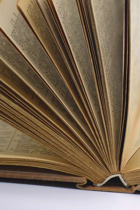 Lecture des textes : « Toi, ma sœur »‍