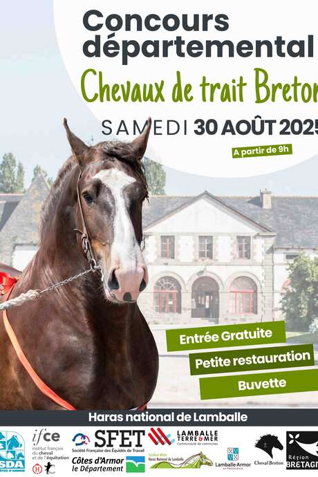 Concours départemental du cheval breton