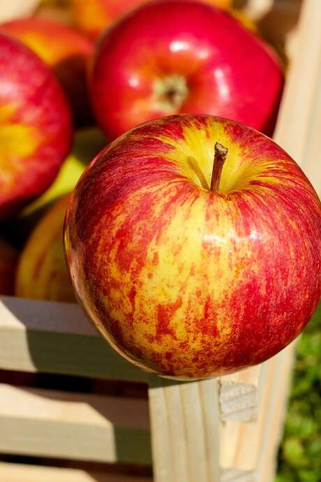 Visite de la cidrerie du Penthièvre