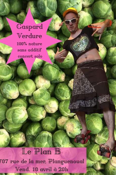 Gaspard Verdure en Concert