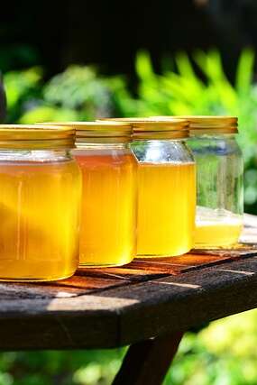 Visite de Bee Flora
